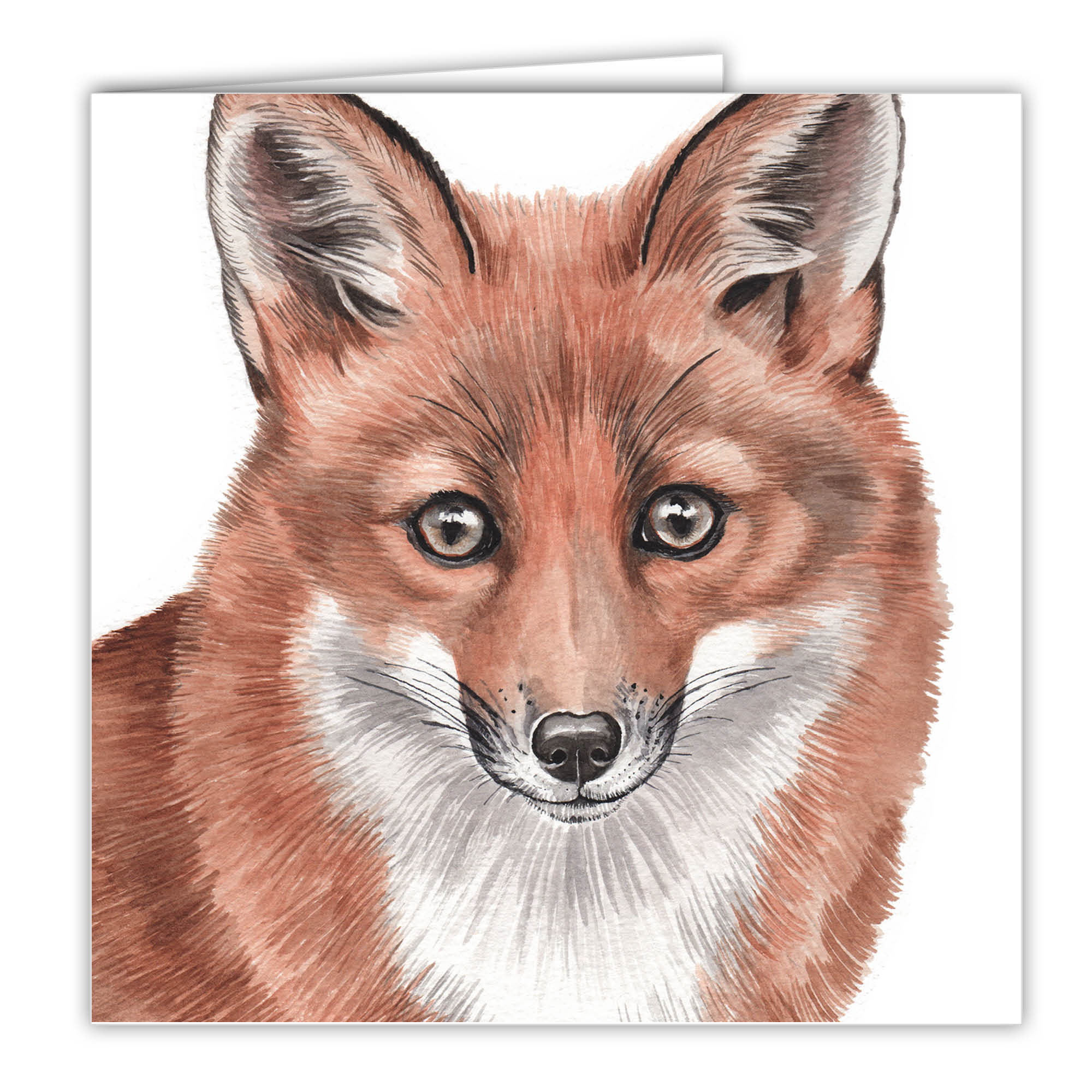 Fox Card