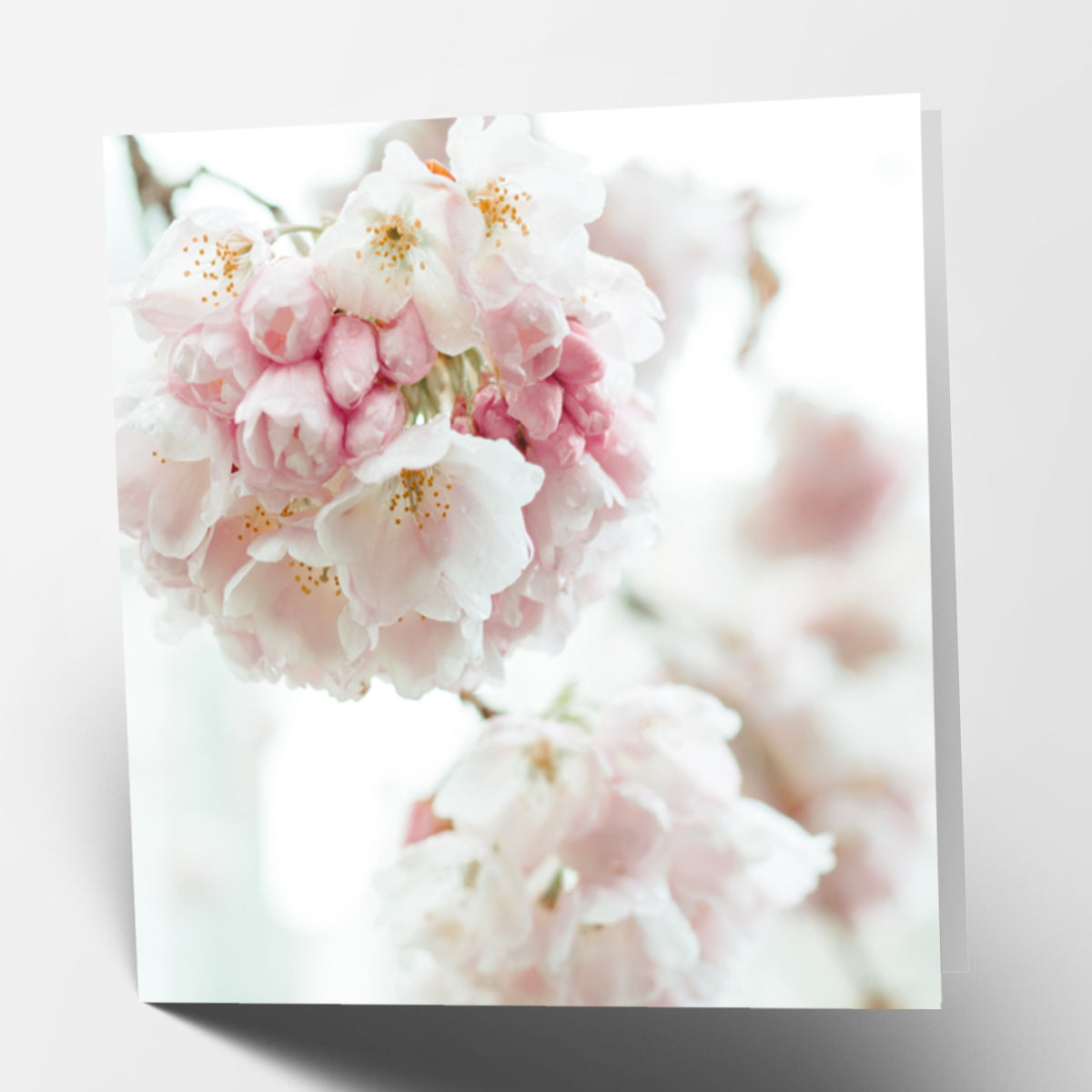 Flowers Card