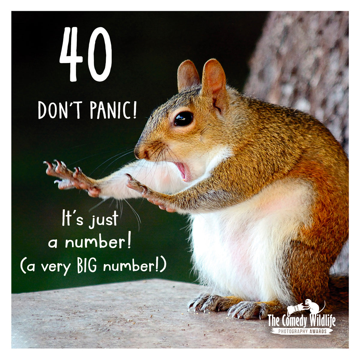40 Don't Panic! Birthday Greetings Card